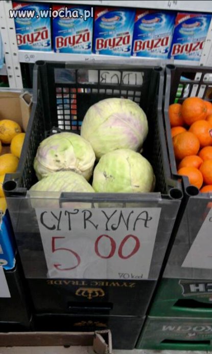 Polskie cytryny