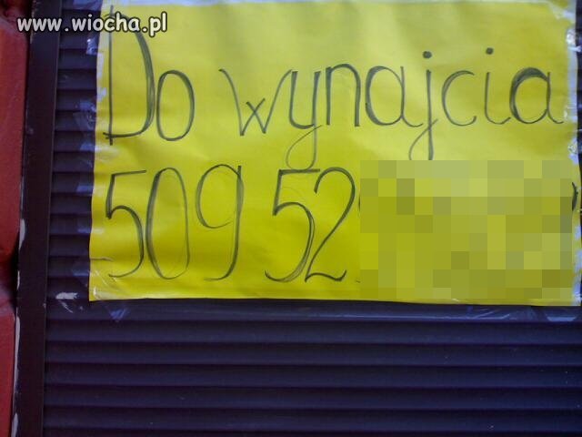 Do wynajcia...