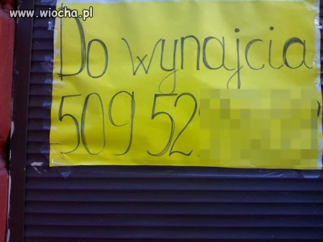 Do wynajcia...