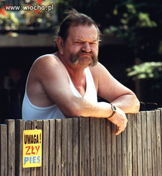 Uwaga zły Pies