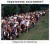 Zagadka