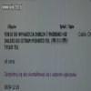 Ortograficzna wiocha