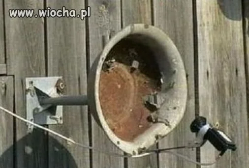 Okno na świat
