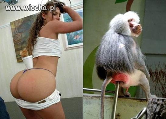 Podobieństwo
