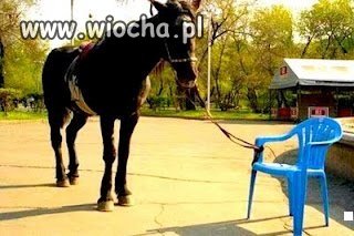 Tak na wszelki wypadek...