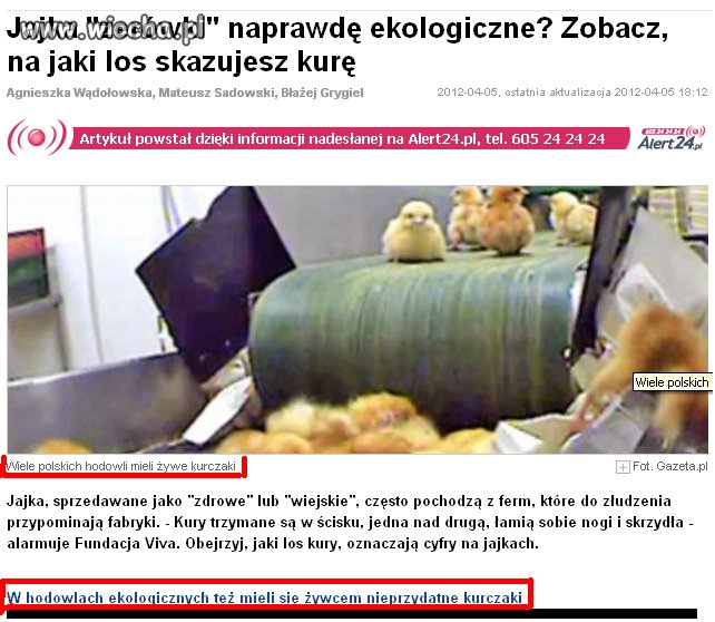 Przedmiotowe traktowanie zwierząt