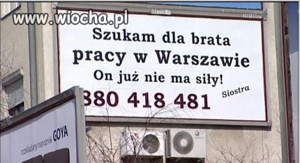 Szukam dla brata pracy...