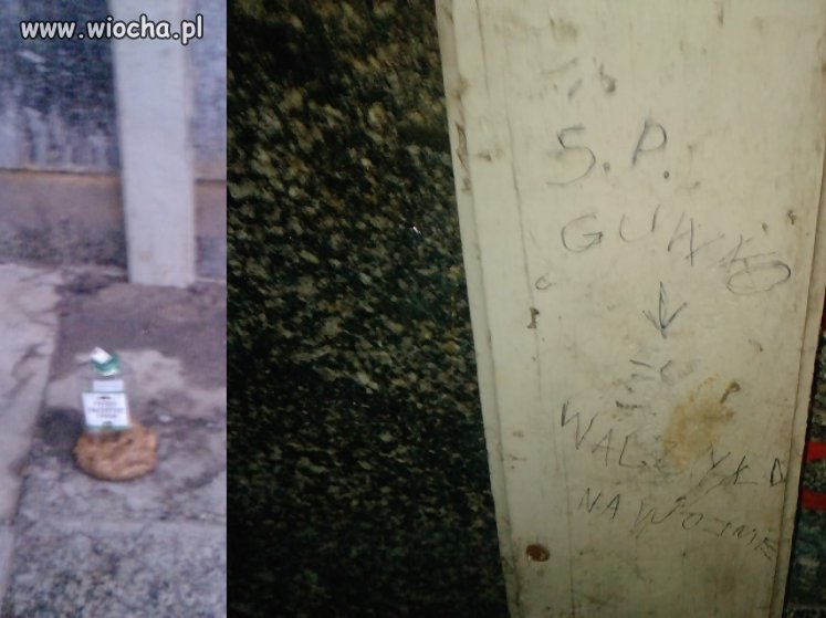Ś.P. GUWNO...