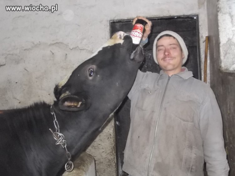 Takie tam z moim byczkiem i Wareczką. 