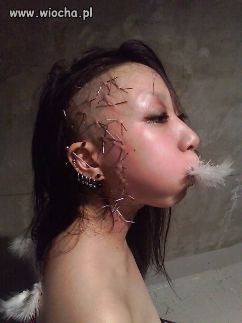 Nie 