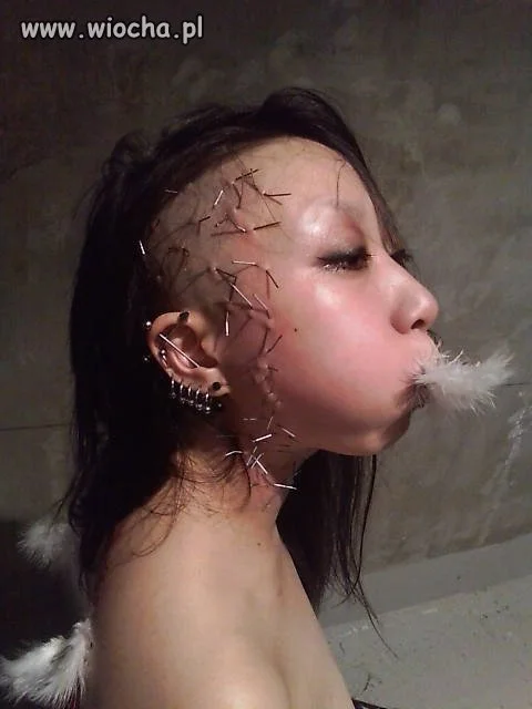 Nie 