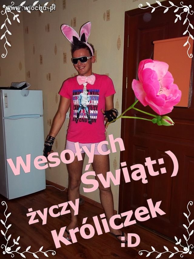 Króliczek świąteczny!