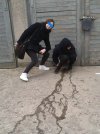 Lans sikami...