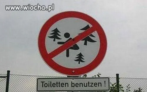 Inteligencja ludzka