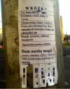 Wróżka zdejmie klątwę
