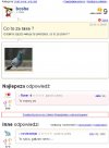 Co to Za Rasa?