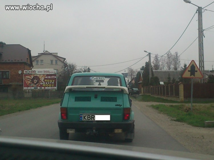 Króliczki playboya...