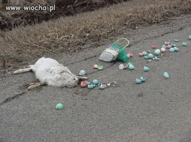 Idą święta... zając wielkanocny