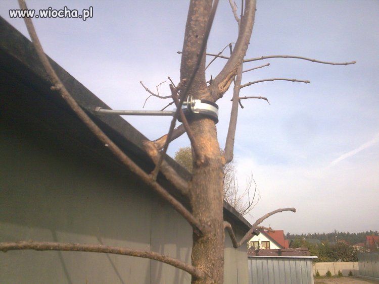 Przypięte do dachu...