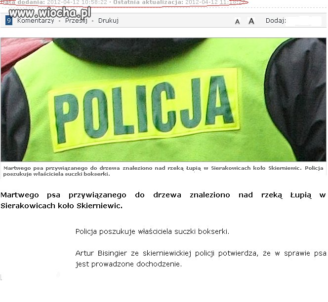 Powiesili psa.