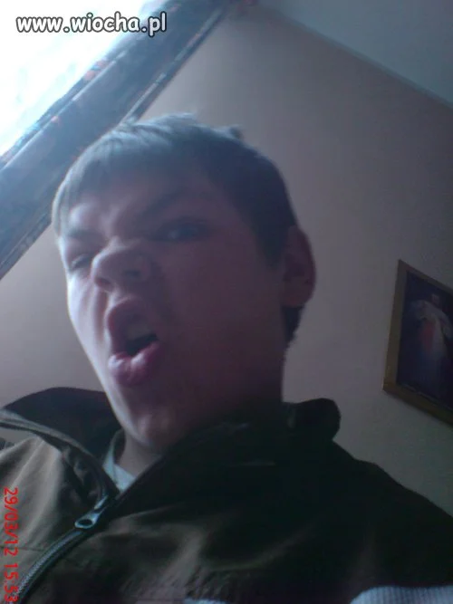 Dzióbek