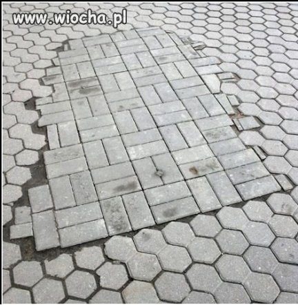 Mistrz w układaniu kostki