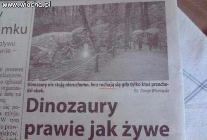 Dinozaury