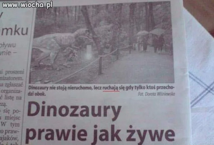 Dinozaury