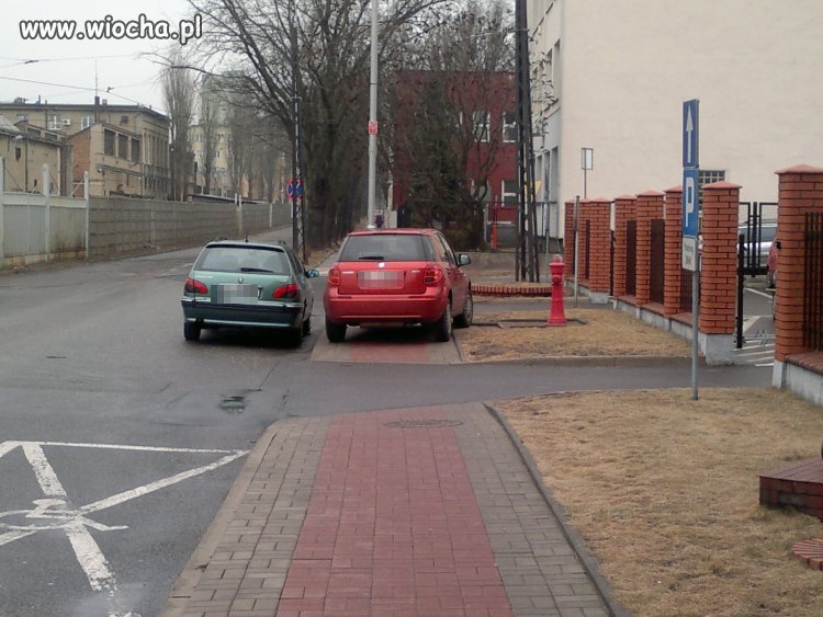 Szlachta kocha swoje samochody.