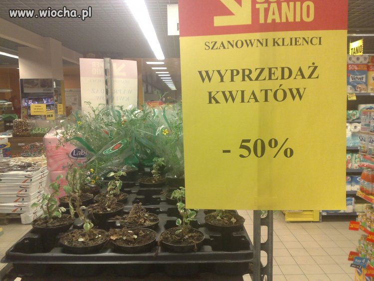 Intermarche