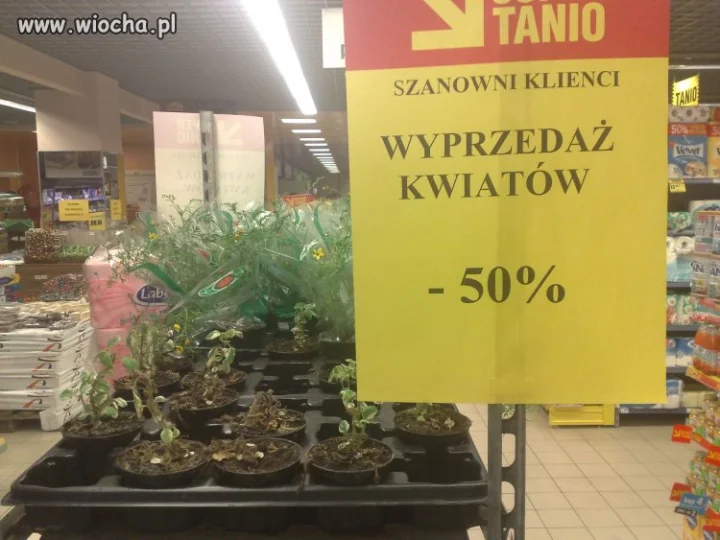 Intermarche