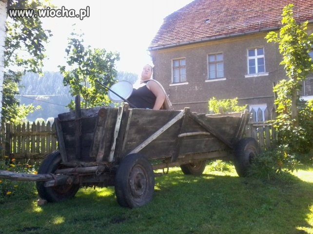 Czekam na ryżego Wałacha