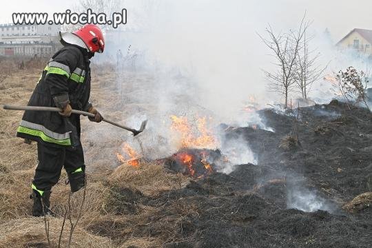 Wypalanie traw na wiosnę - wiocha...