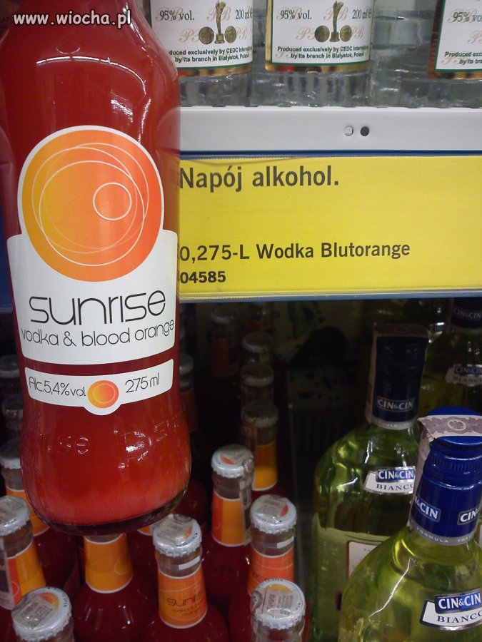Blutorange 