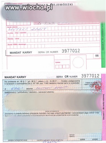 Szejset złoty
