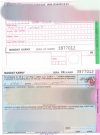Szejset złoty