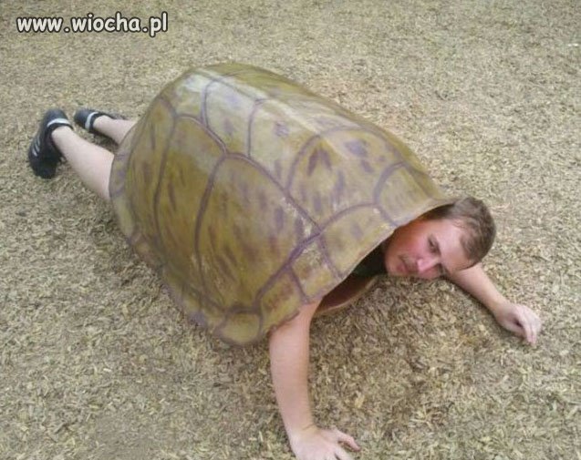 Piąty Żółw Ninja w akcji