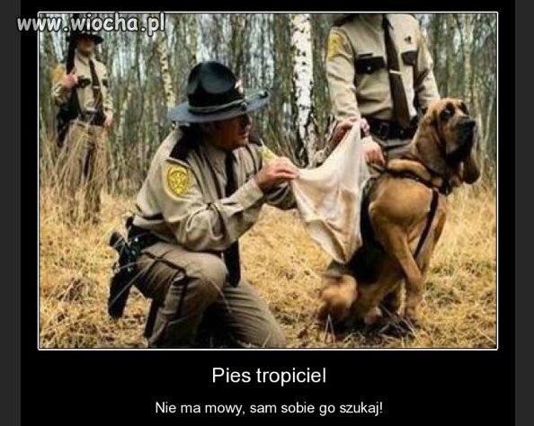Sam wąchaj te śmierdzące gacie!!!