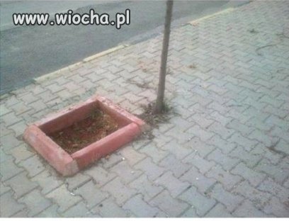 Prawie się udało