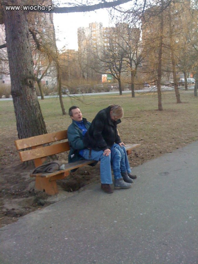 Takie tam w parku na Warszawskim bródnie