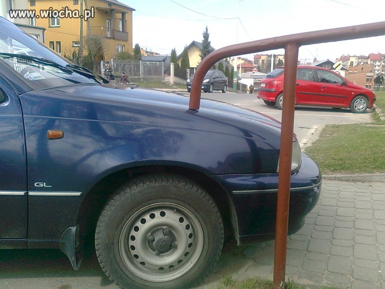 Mistrz parkowania