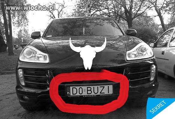 Do buzi