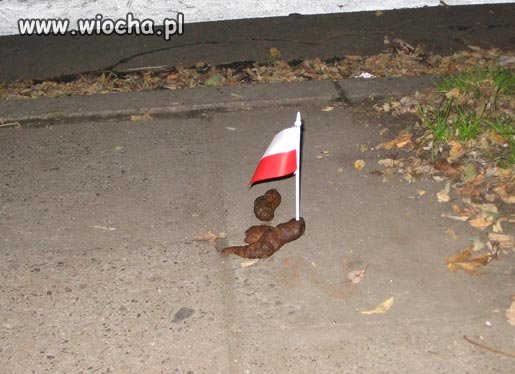 Obraza Polski