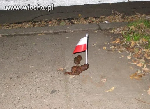 Obraza Polski