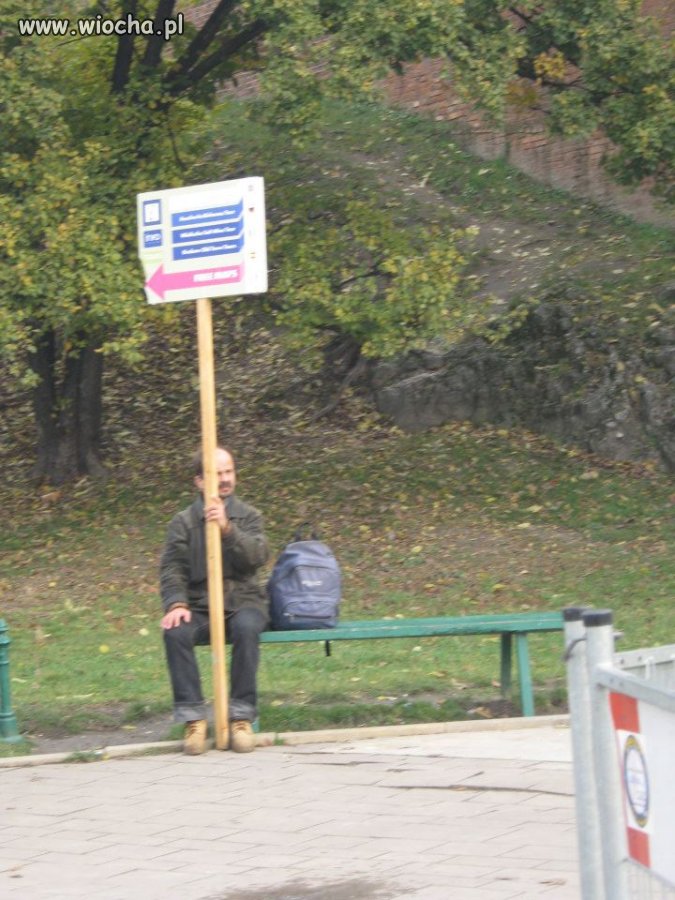 Polskie bezrobocie