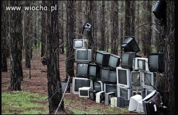Las monitorowany...