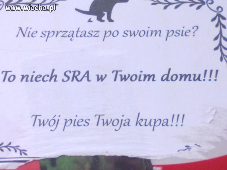 Nie sprzątasz!! To niech SRA w twoim domu!!!