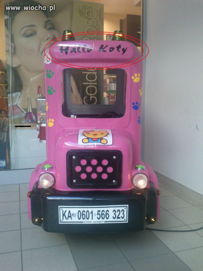 "Hello kitty" pomysłowość Polaków nie zna granic
