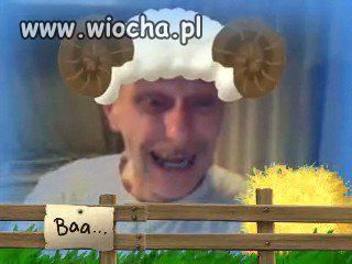 Baaa
