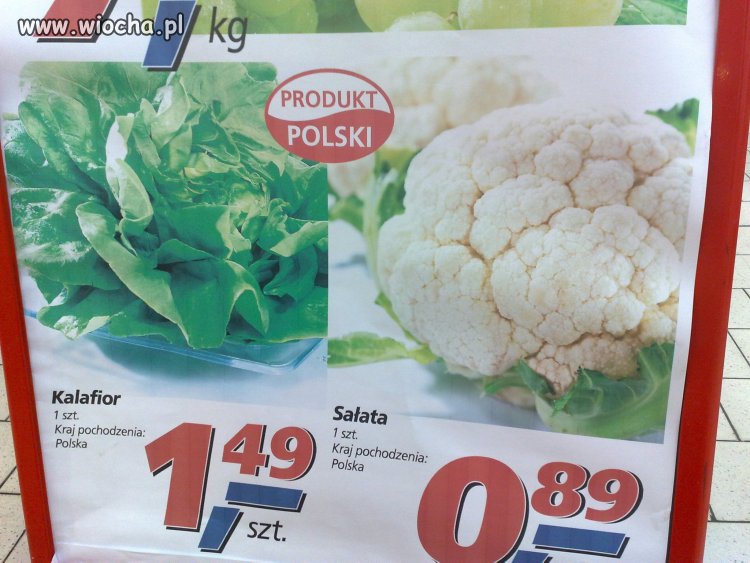 Kalafior kontra sałata